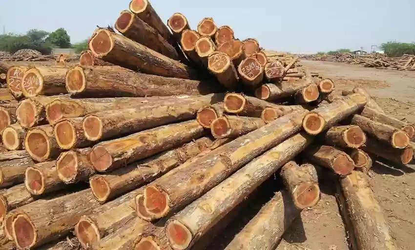 టేకు కలప 